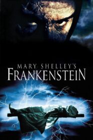 Mary Shelley’s Frankenstein