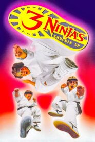 3 Ninjas Knuckle Up